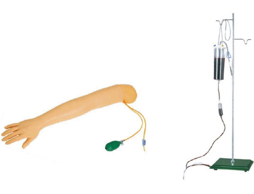 高級手臂動脈穿刺及肌肉注射訓練模型